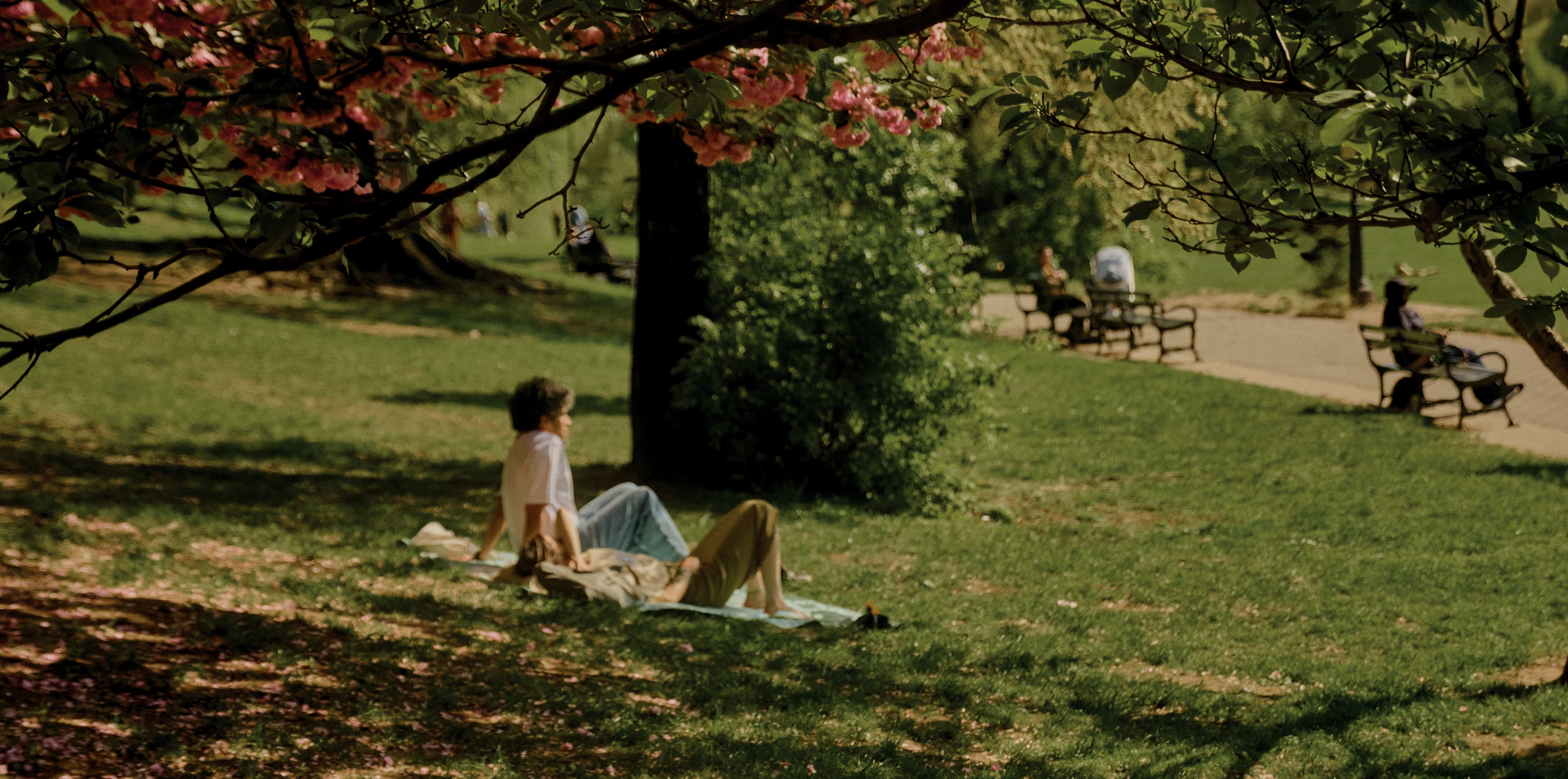 Prospect Park