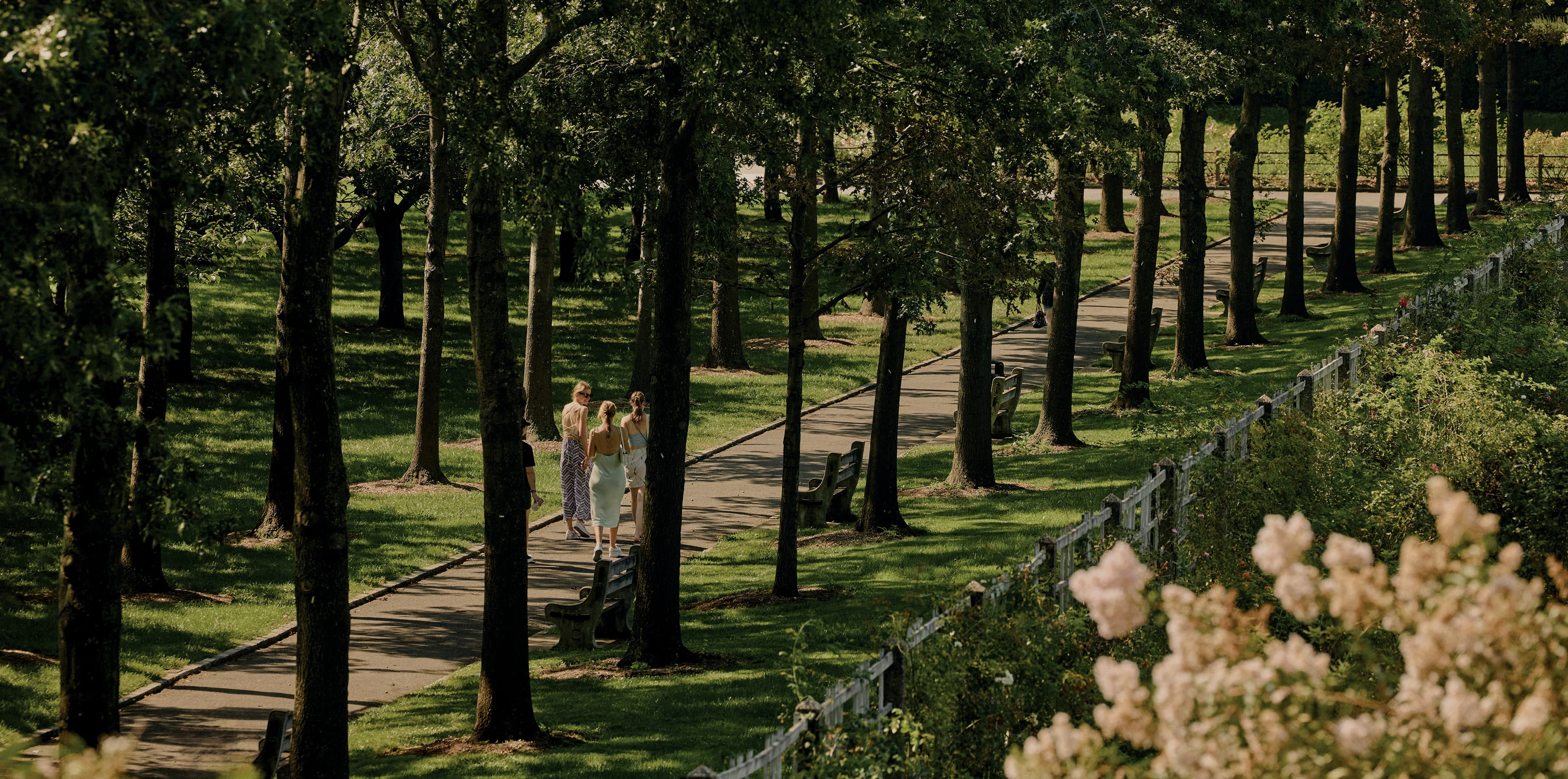 Brooklyn Botanic Garden
