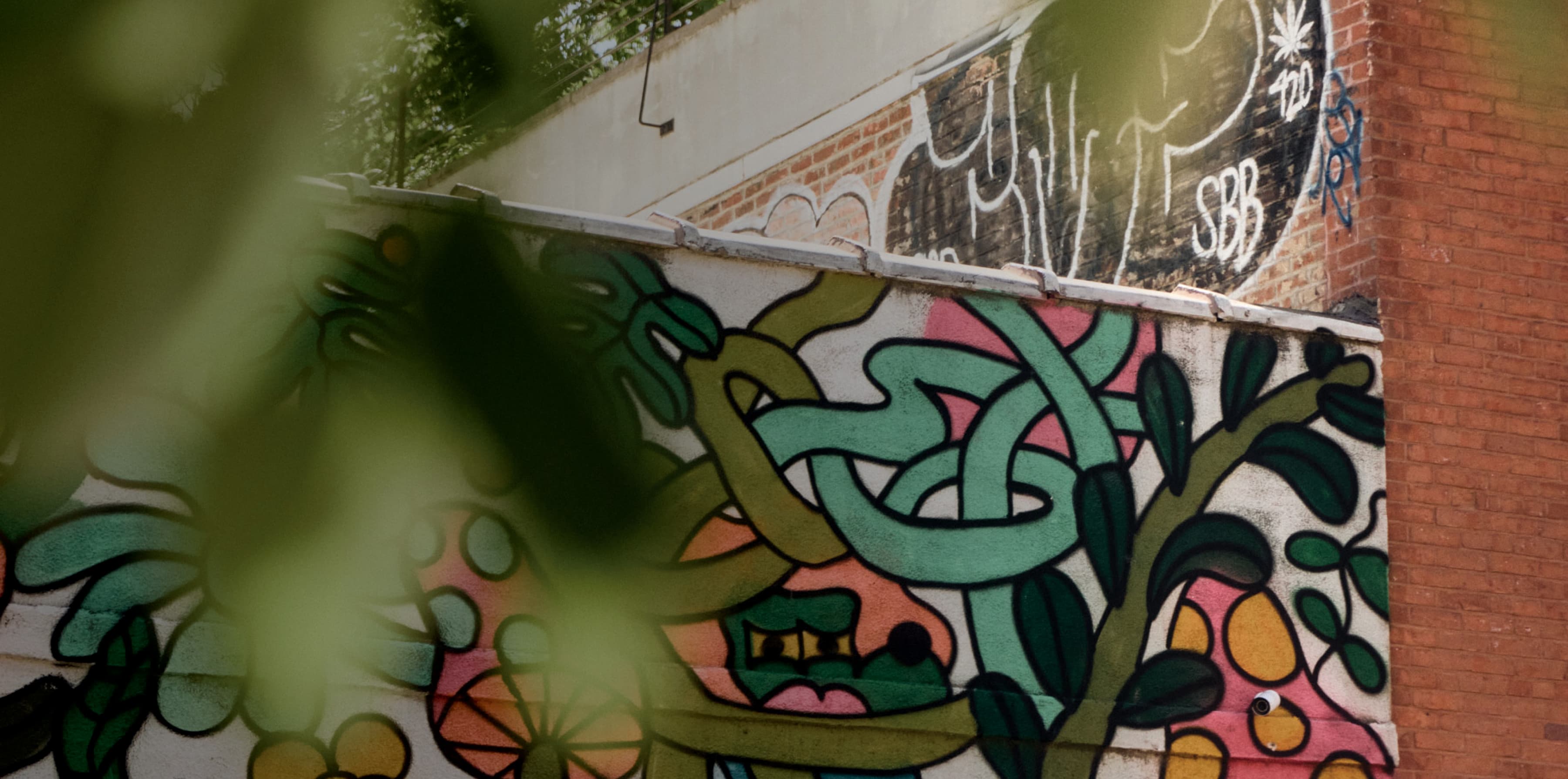 Chang's Auto Repair Shop