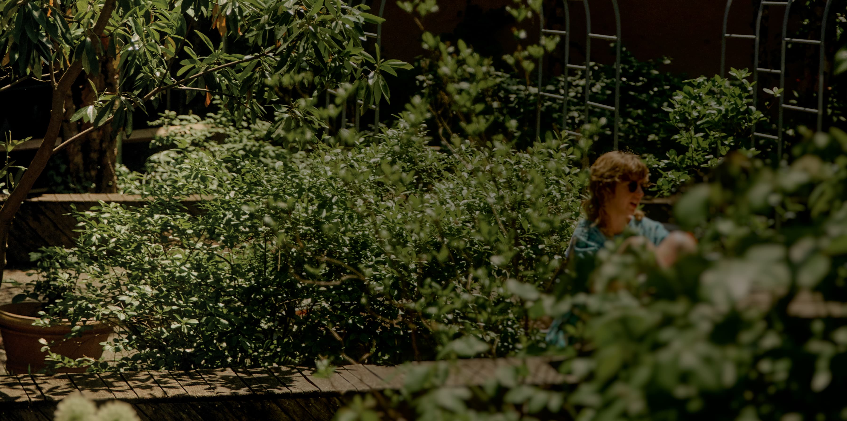 Gil Hodges Community Garden