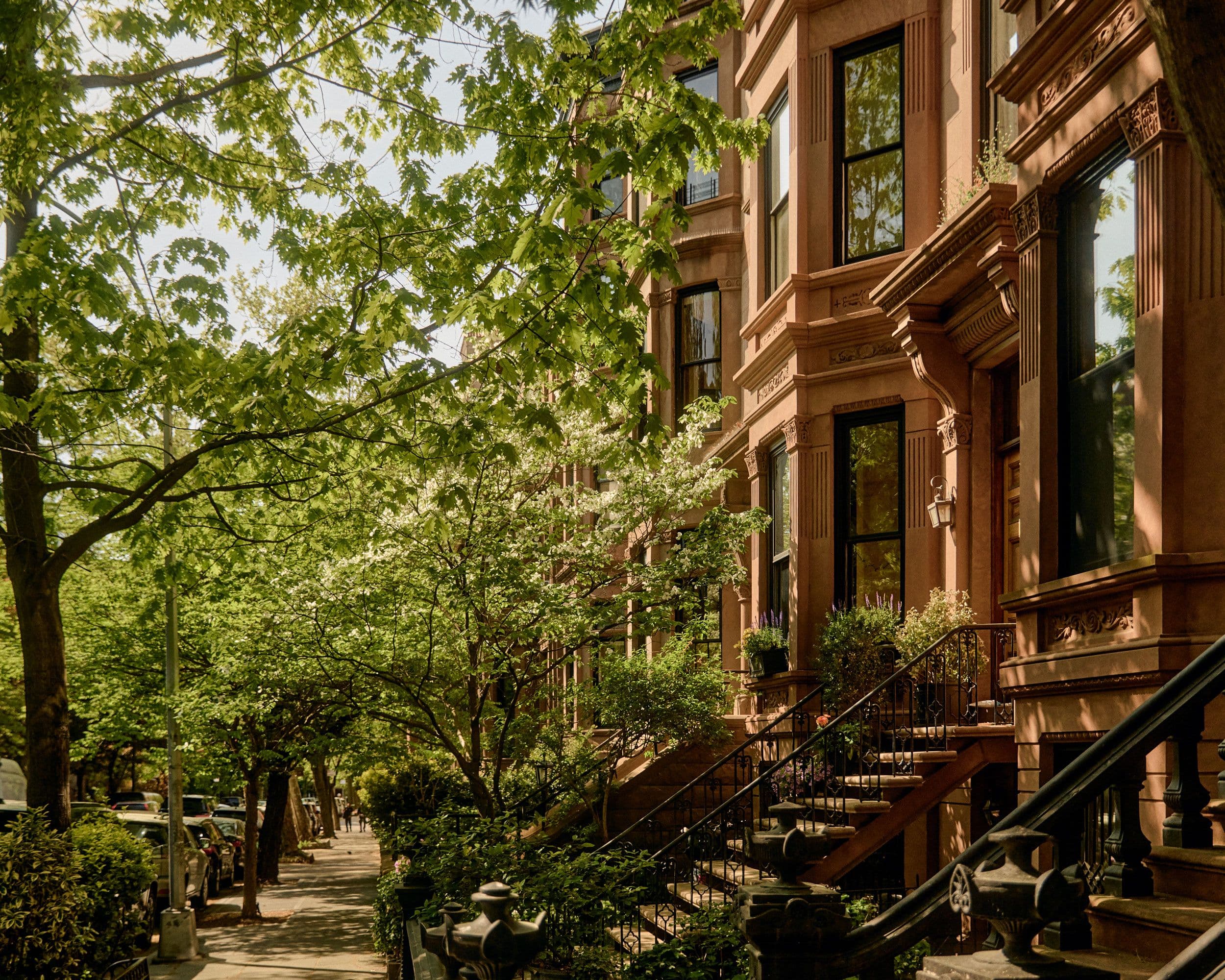brownstones