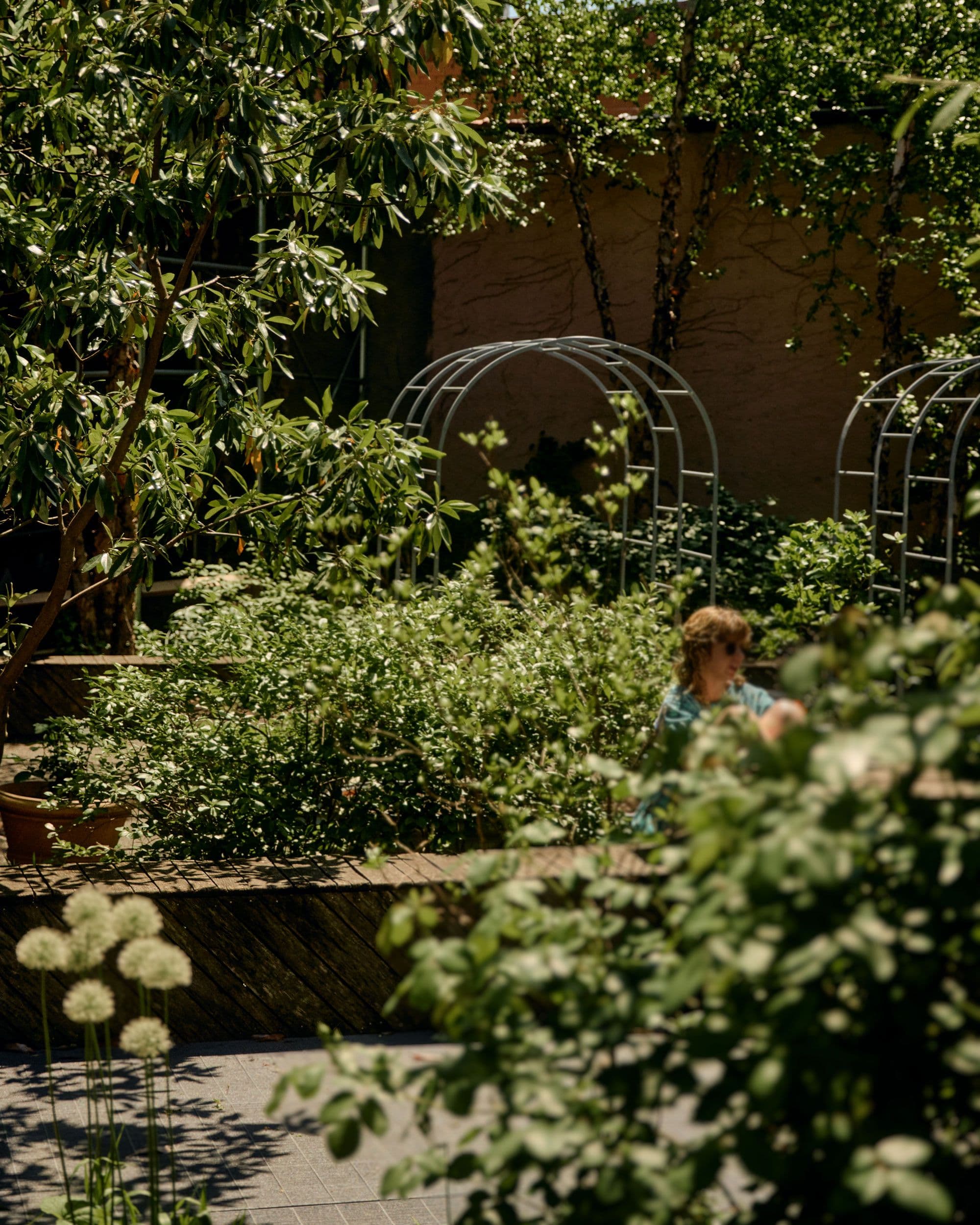 Greenery