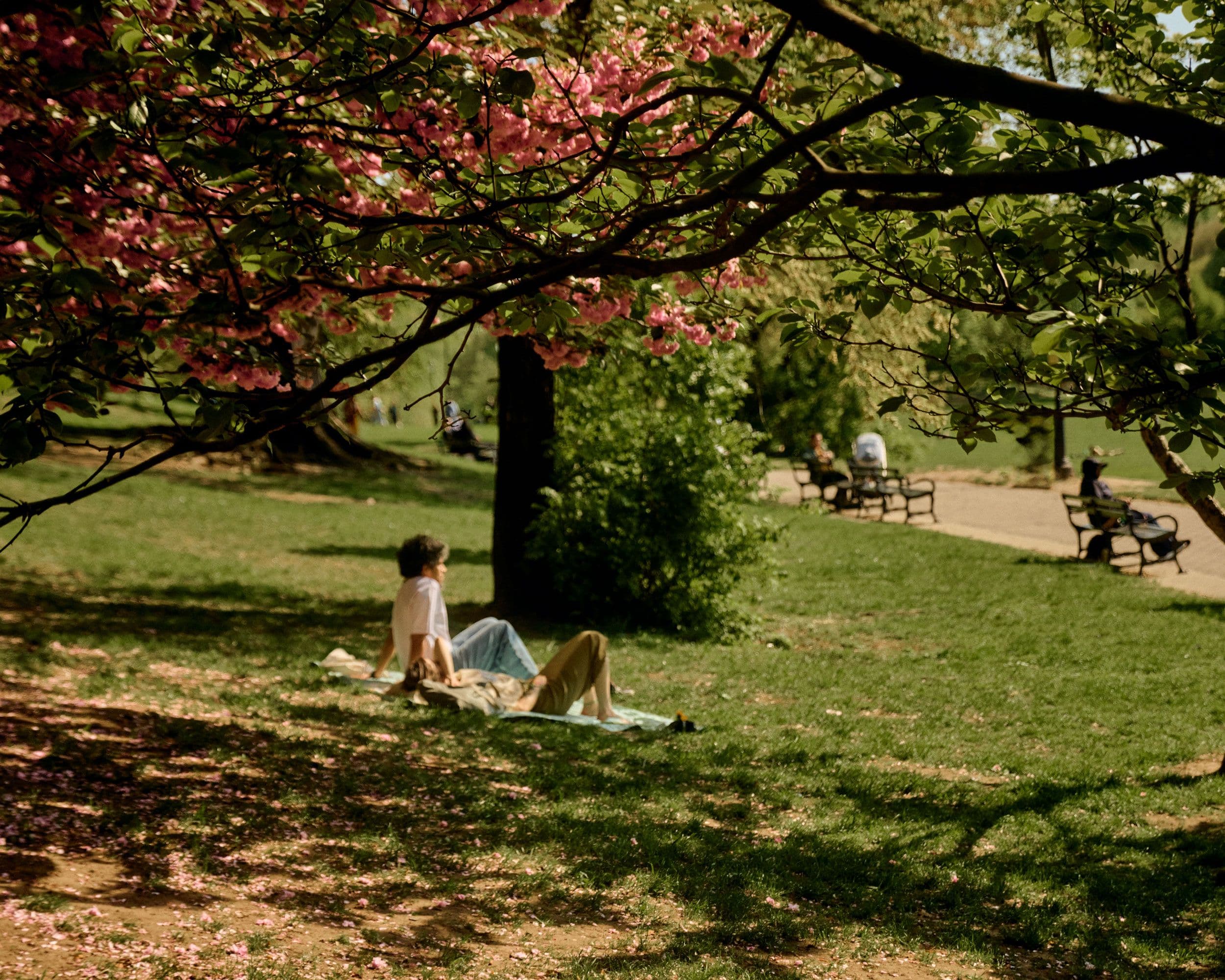 Person sitting on a blanket on the grass